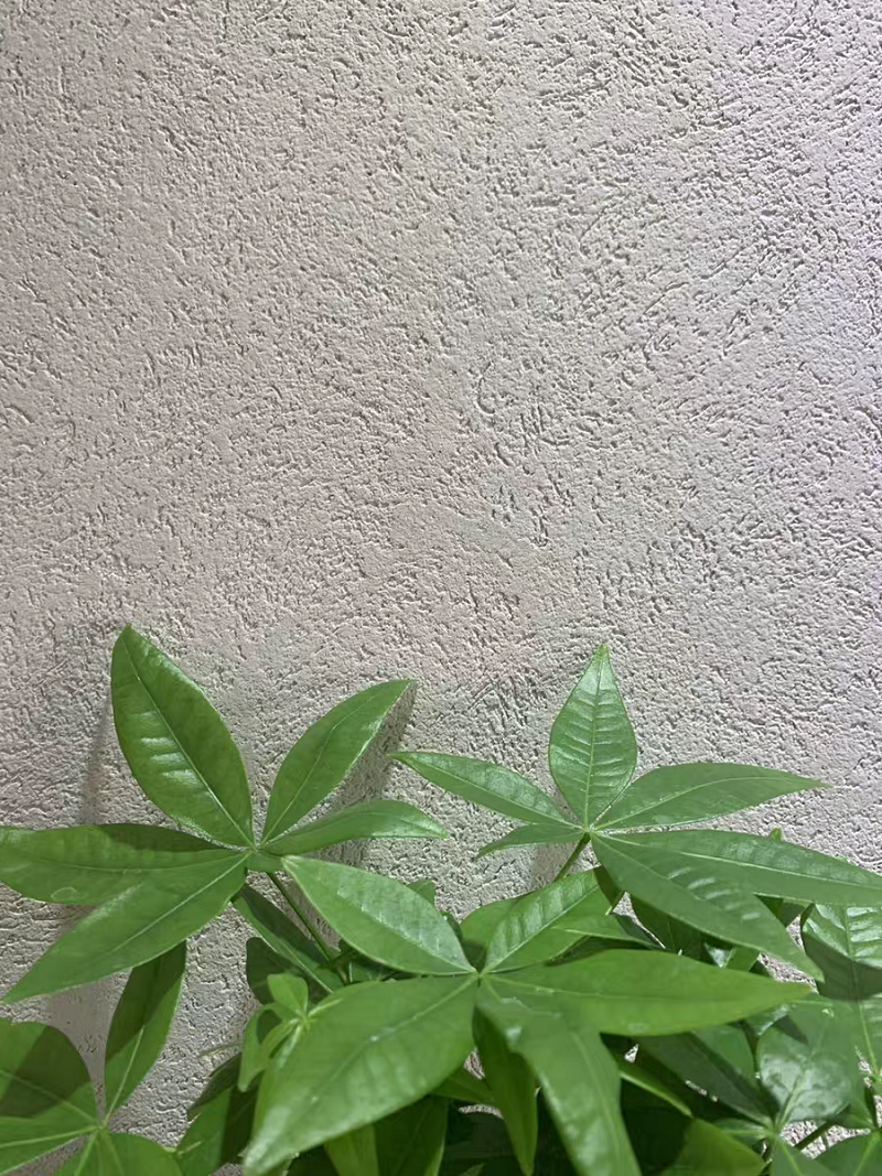 萬(wàn)磊雅晶石  內(nèi)附施工視頻，史上最全的雅晶石全攻略收錄