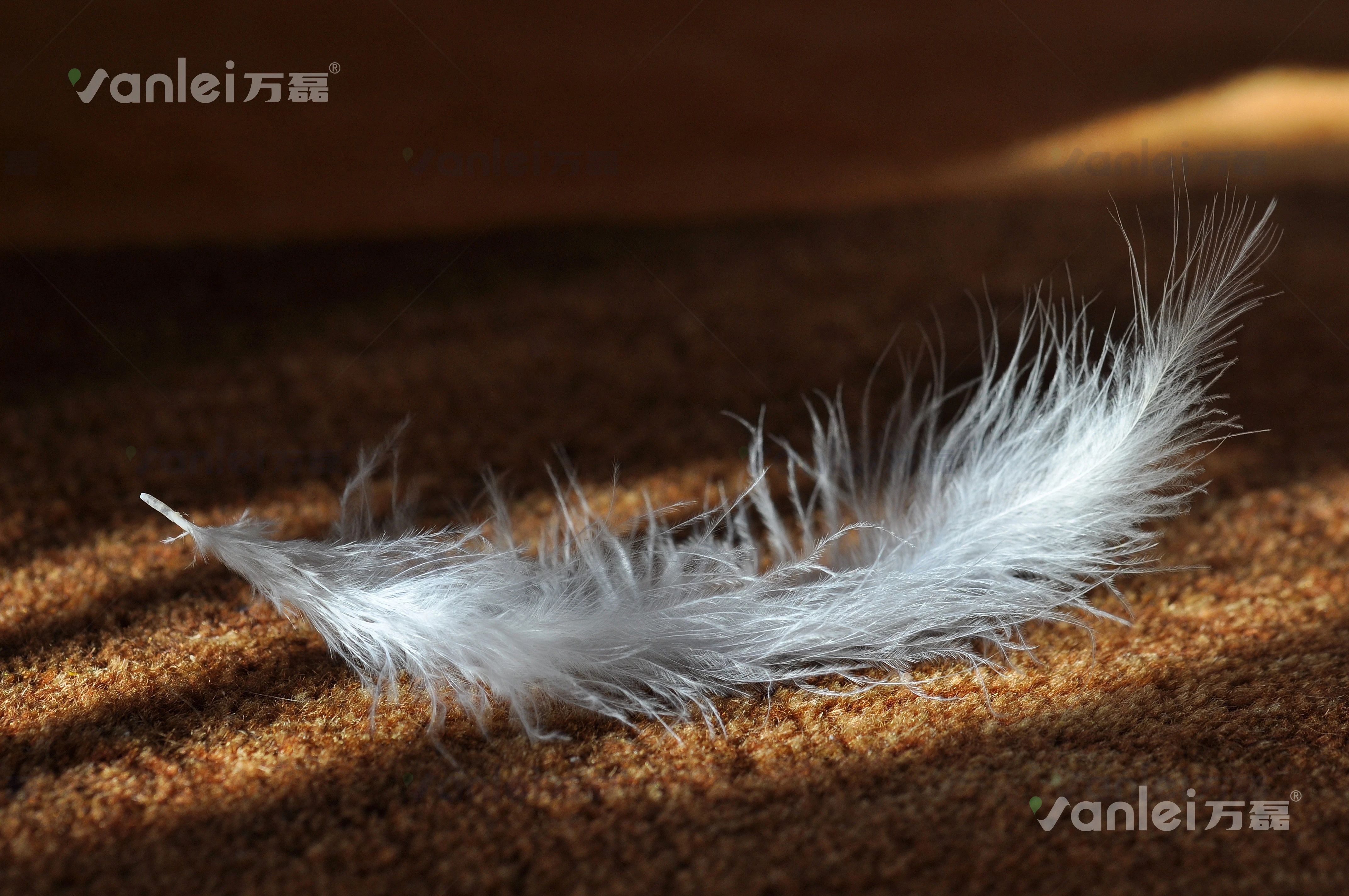 萬磊案例賞析 | 金屬遇上絲絨，尋覓絲質般舒適生活