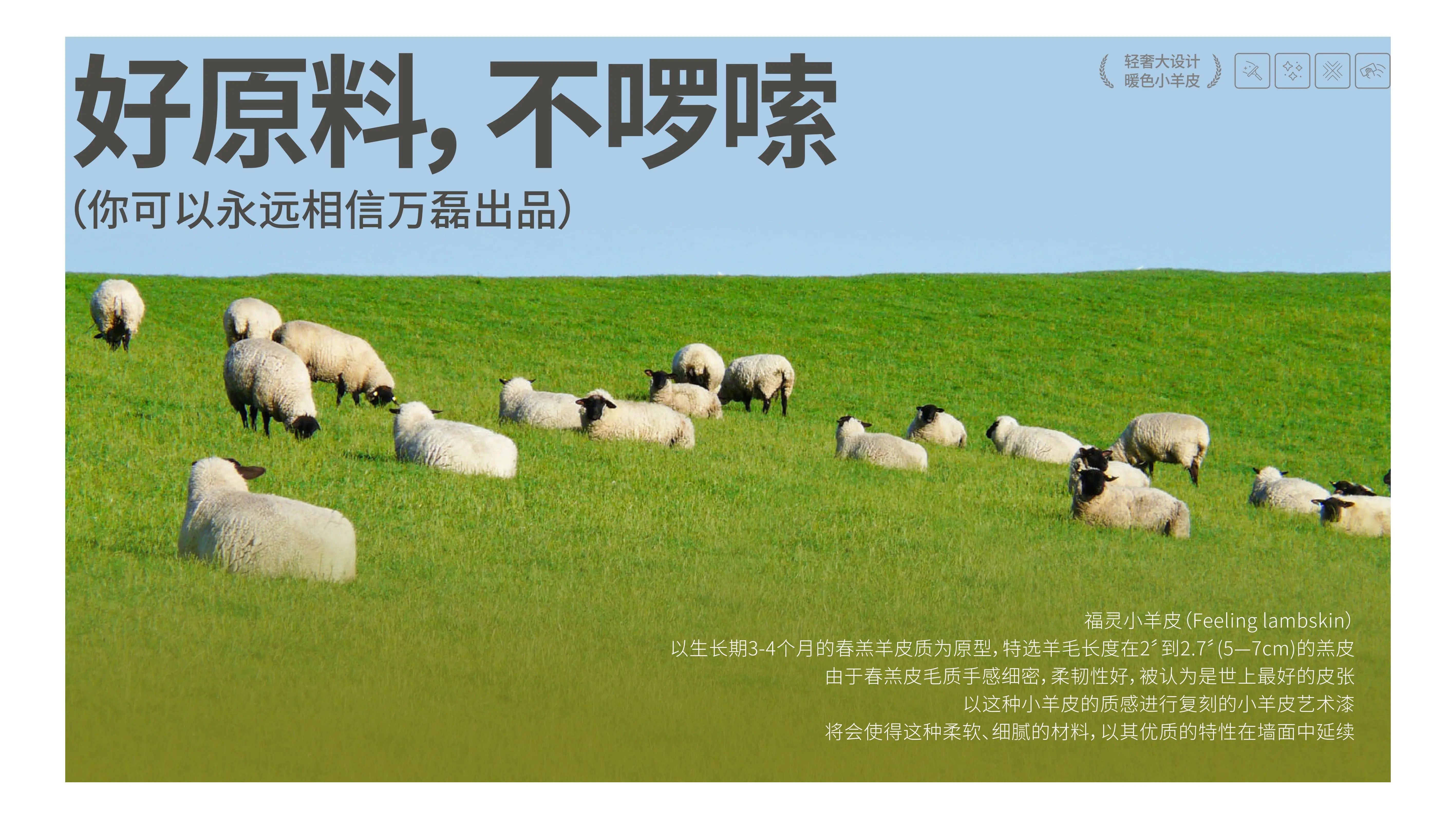 萬(wàn)磊福靈小羊皮來(lái)啦！多樣的表面質(zhì)感等您來(lái)解鎖~