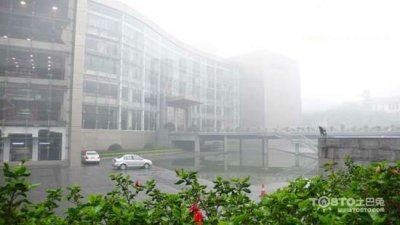 驚蟄過，春雨至，硅藻泥讓你告別濕轆轆